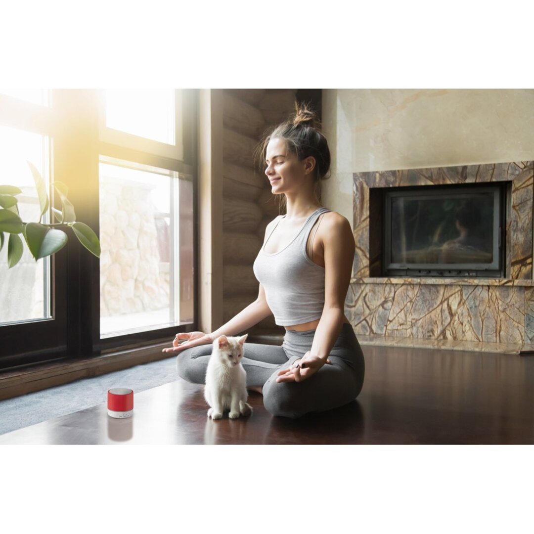 Bluetooth Lautsprecher mit Mikrofon Lollel