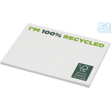 Recycelte Haftnotizen 100 x 75 mm - Rudesco