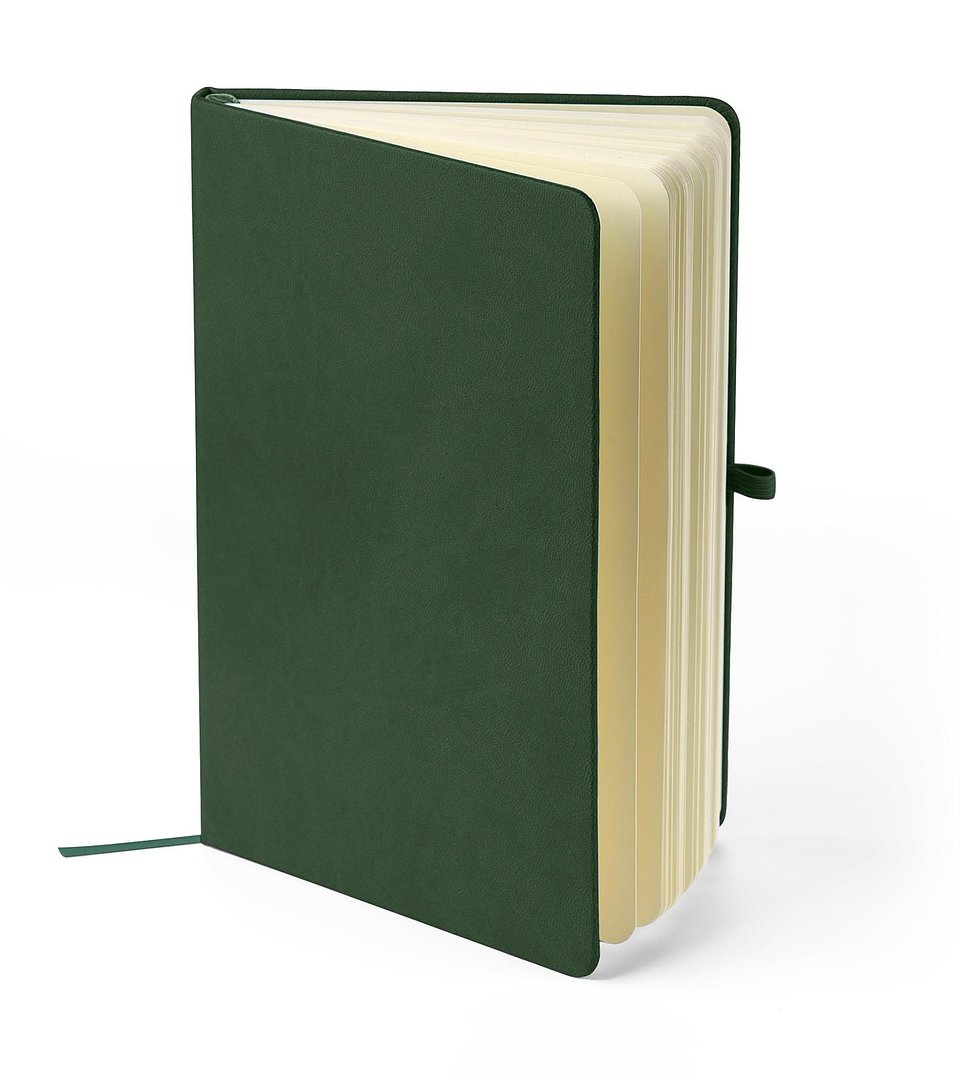 Recyceltes Notizbuch A5 Steilga