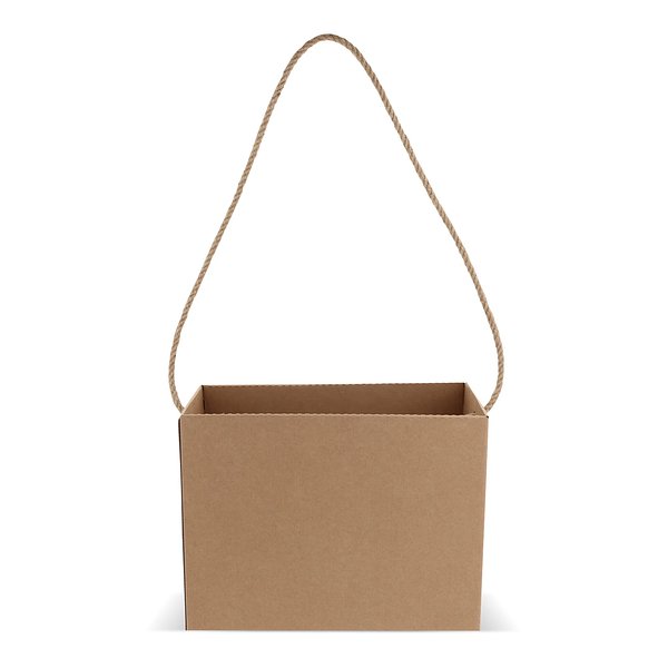 Karton-Tasche 32x16x24cm Iteile