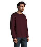 Herren Sweater 260g Bendinati