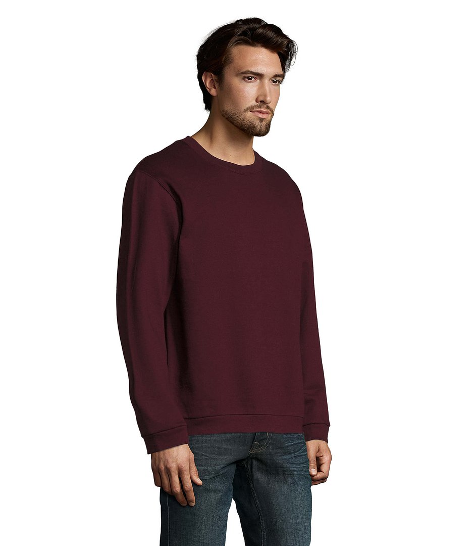 Herren Sweater 260g Bendinati