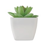 Mini-Kunstpflanze Ciaminath