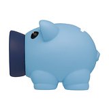 Kleines Sparschwein Hata