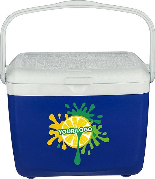 Kühlbox 13 Liter Orinan