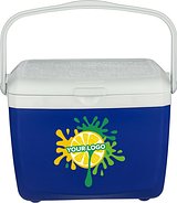 Kühlbox 13 Liter Orinan
