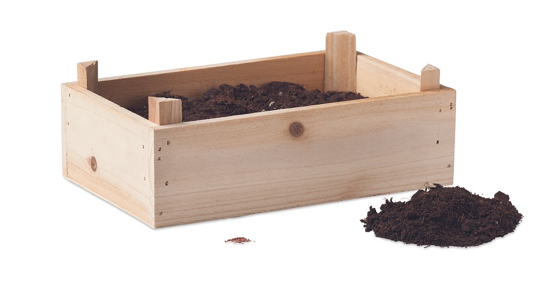 Saat-Set Erdbeere Veili