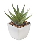 Mini-Kunstpflanze Vrenias