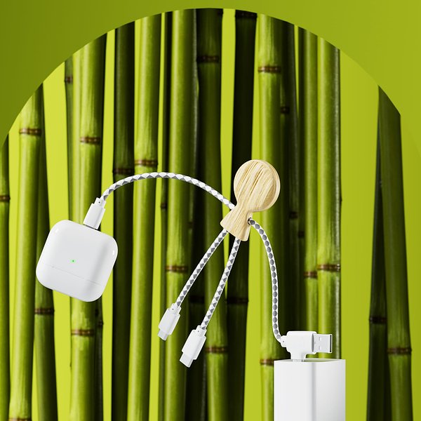 Mr. Bio Bamboo Charging Cable Gillanna