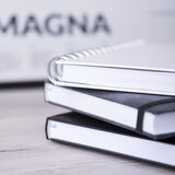 Tagebuch Idnes