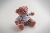 Teddybär Arzt Nolfrinen