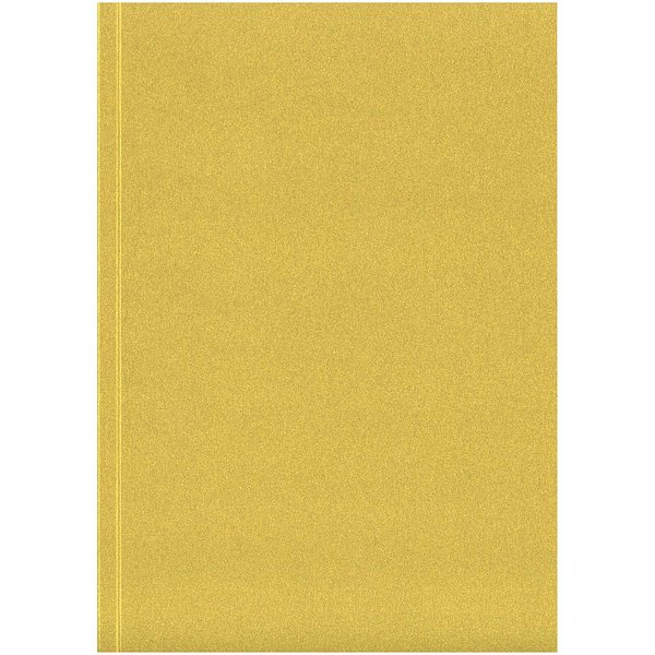Austen A5 Metallic Softcover Notizbuch – 100 Blatt - Fadi