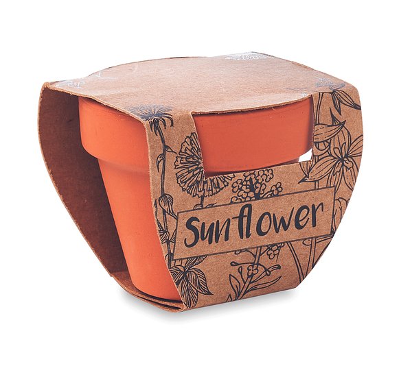 Terracotta-Topf Sonnenblume Waltias