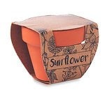 Terracotta-Topf Sonnenblume Waltias