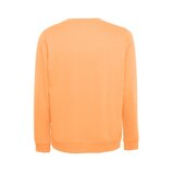 Unisex Sweatshirt Razena