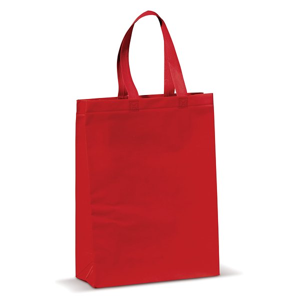 Laminierte Non Woven Tasche 105g/m² Betiannas