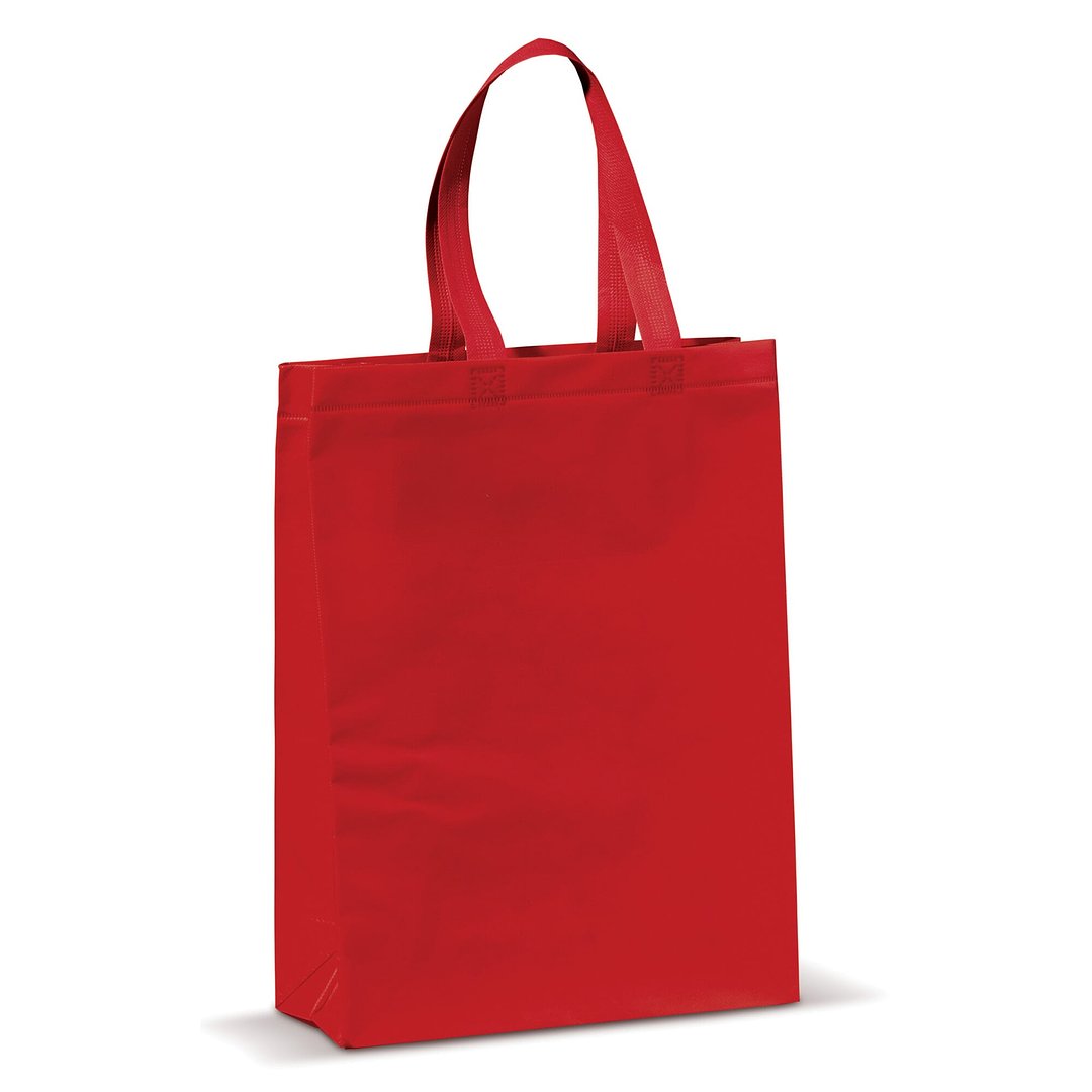 Laminierte Non Woven Tasche 105g/m² Betiannas