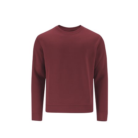 Kinder Sweatshirt Idmos