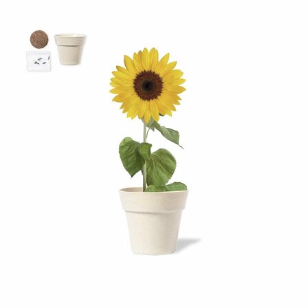 Blumentopf Idmil