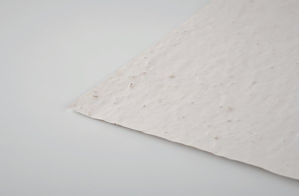 DIN A5 Wildblumen-Samenpapier Olfencha