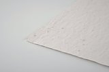 DIN A5 Wildblumen-Samenpapier Olfencha