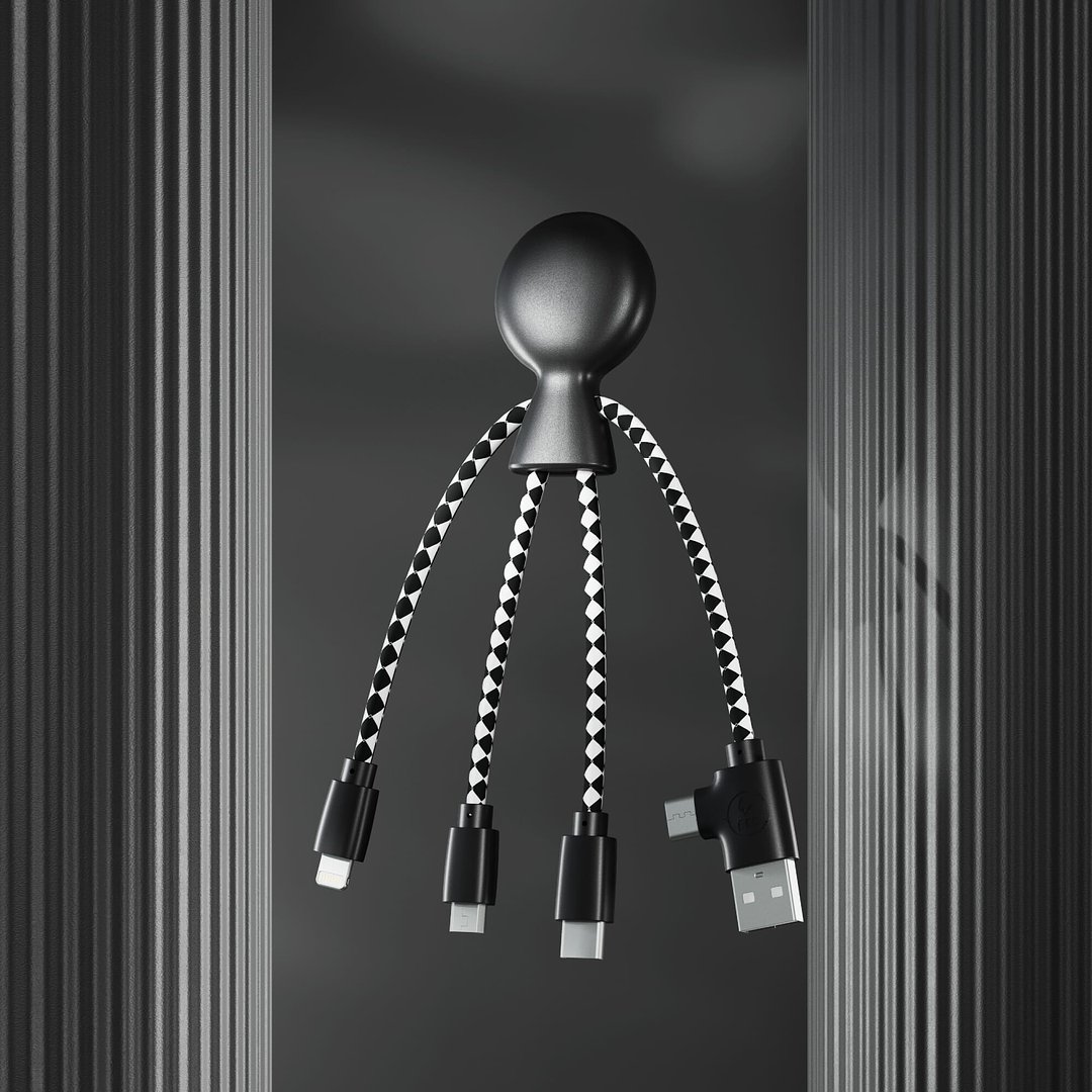 Mr. Bio Charging cable Ingian