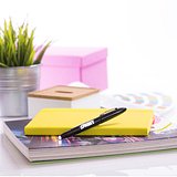 Kugelschreiber Pointer Ideix