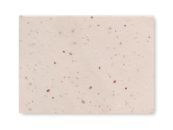 Notiz-Set mit Blumensamen Lixvin