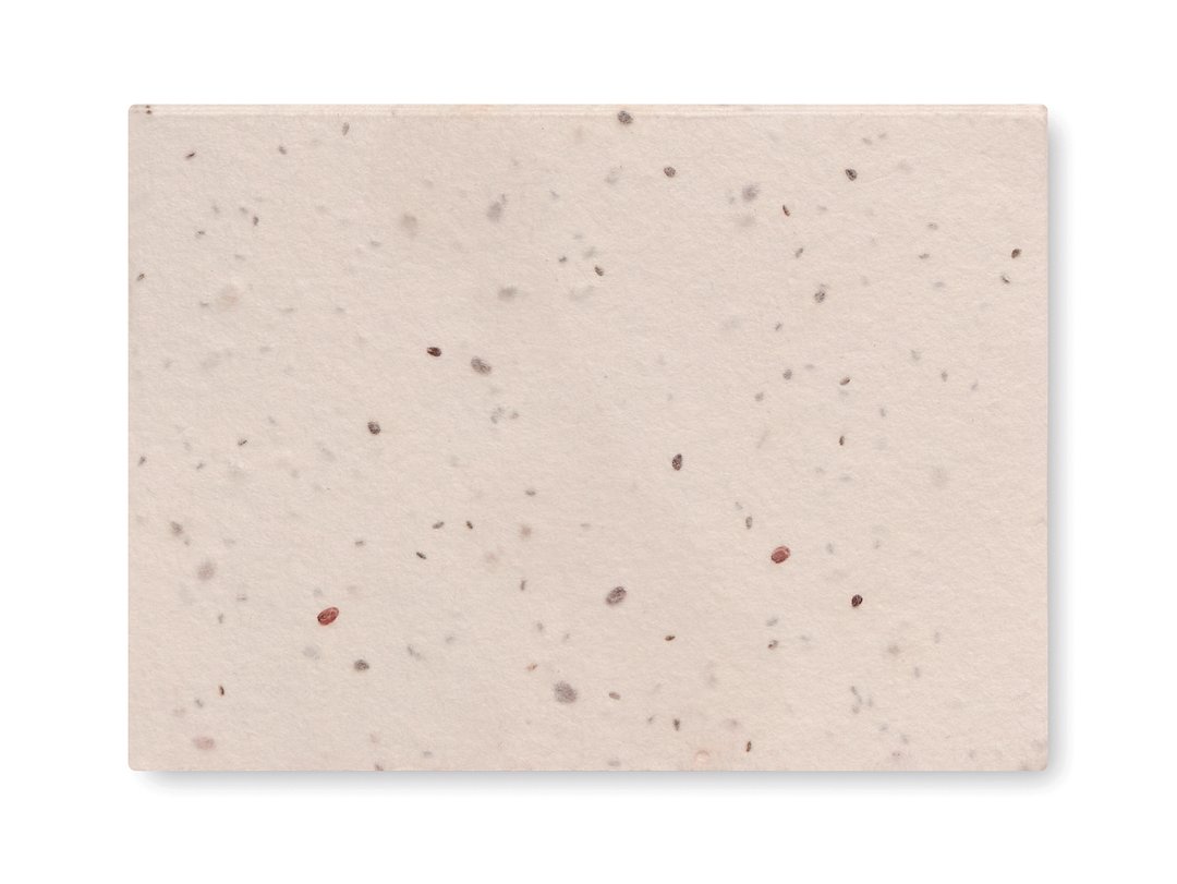 Notiz-Set mit Blumensamen Lixvin