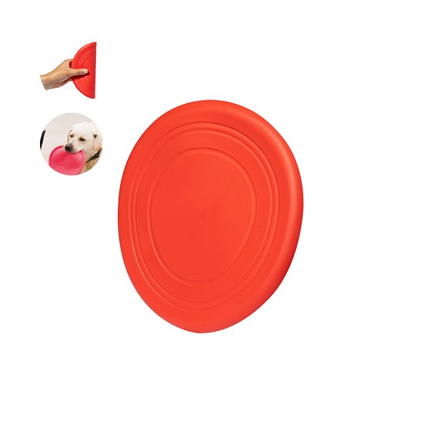 Frisbie Idrud