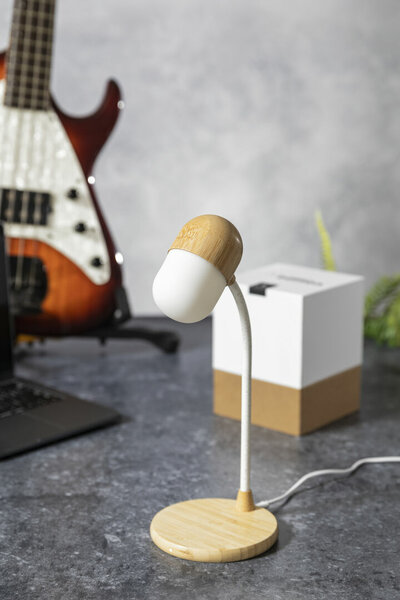 Multifunktion Lampe Idars