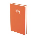 Tagebuch Idnes