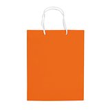 Laminierte Papiertasche, mittel Frilgix