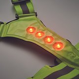 Reflektierende Gürtelweste LED Badiver