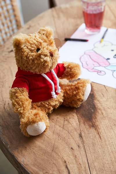 Teddybär Inathole