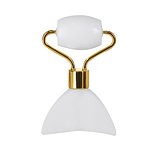 Gesichtsmassagegerät Idiax