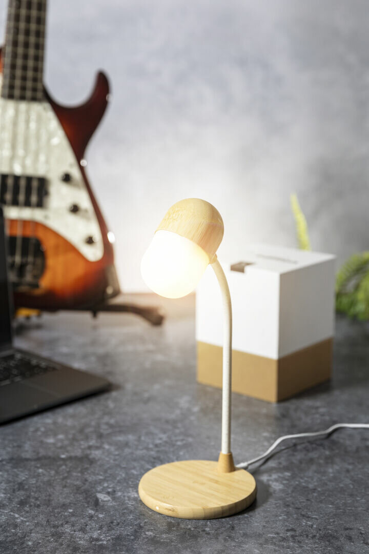 Multifunktion Lampe Idars