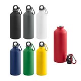 Trinkflasche 550 mL Neschana