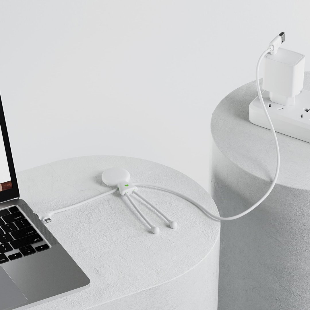 Mr. Bio Long Power Delivery Cable with data transfer Gierdich