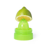 Trinkflasche Fruchtsaftpresse Idlmy