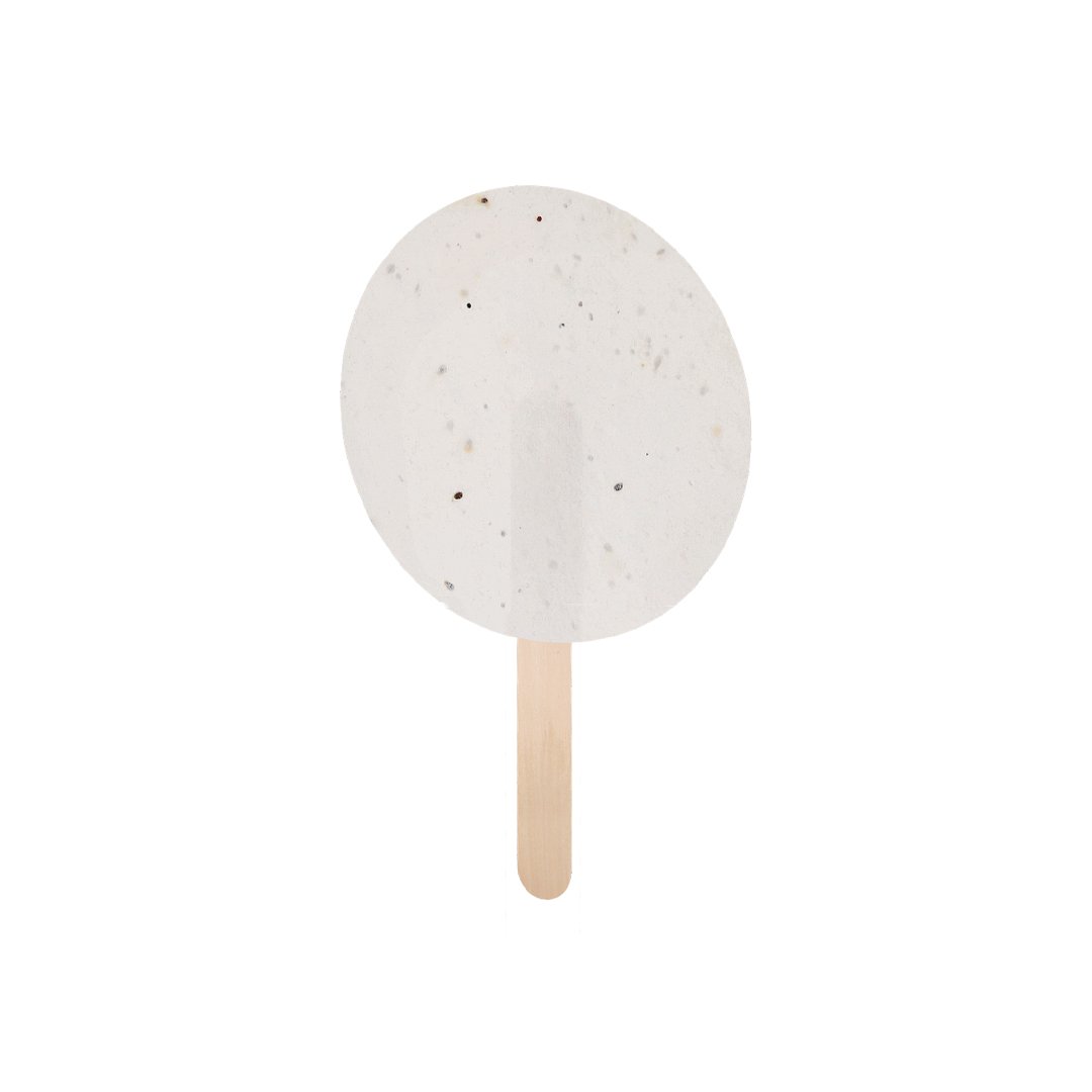 Pflanzbarer Pay-Pay Iduar