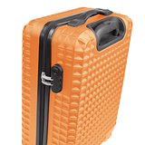 Trolley 18 inch Mast