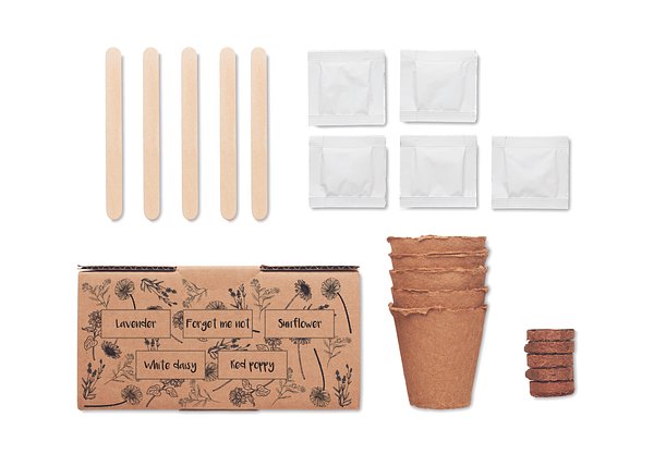 Saat-Set Sommerblumen Nelylas