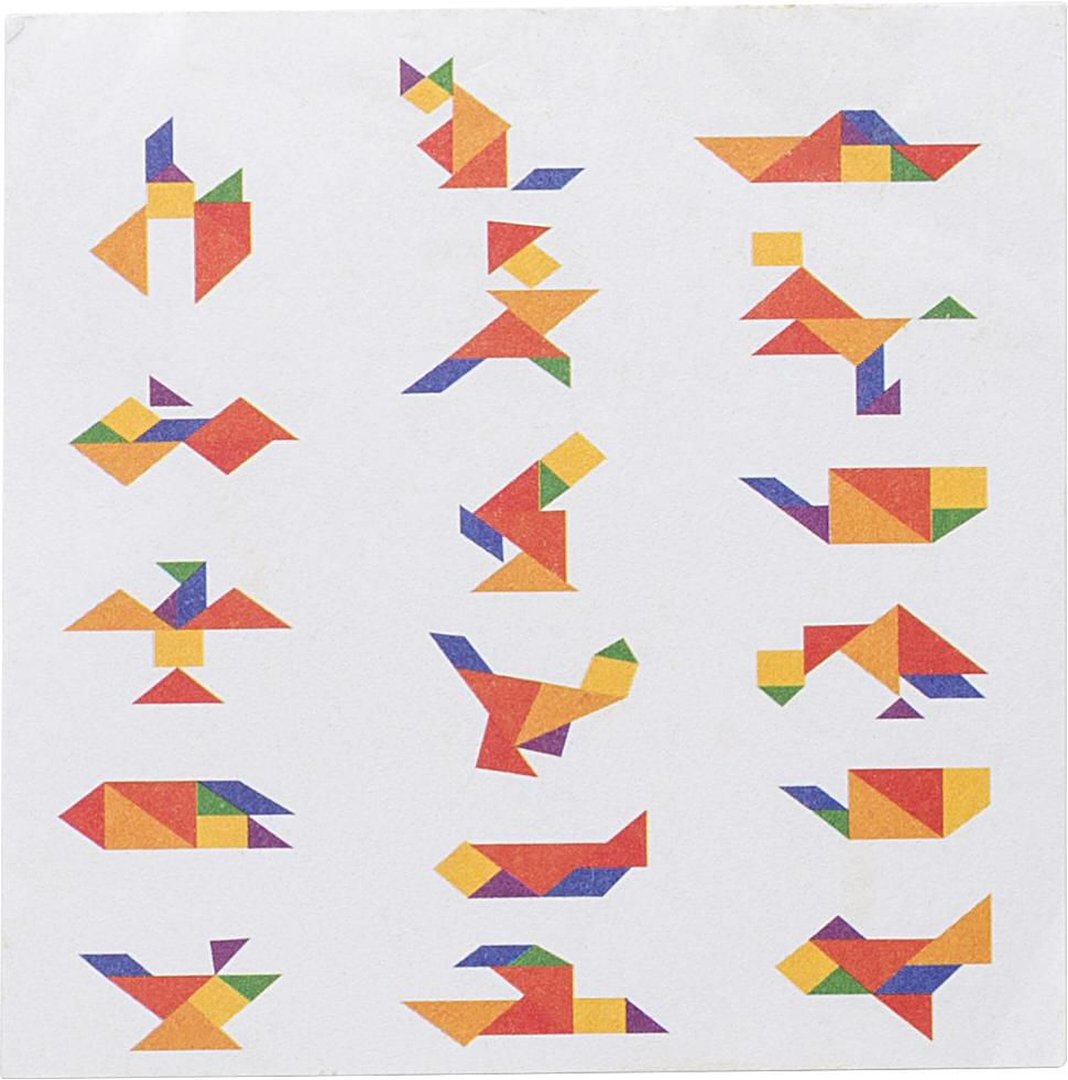 Intelligenzpuzzle Giansehia | Holz | 7 St.