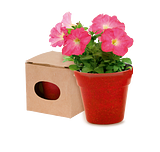 Blumentopf Idert