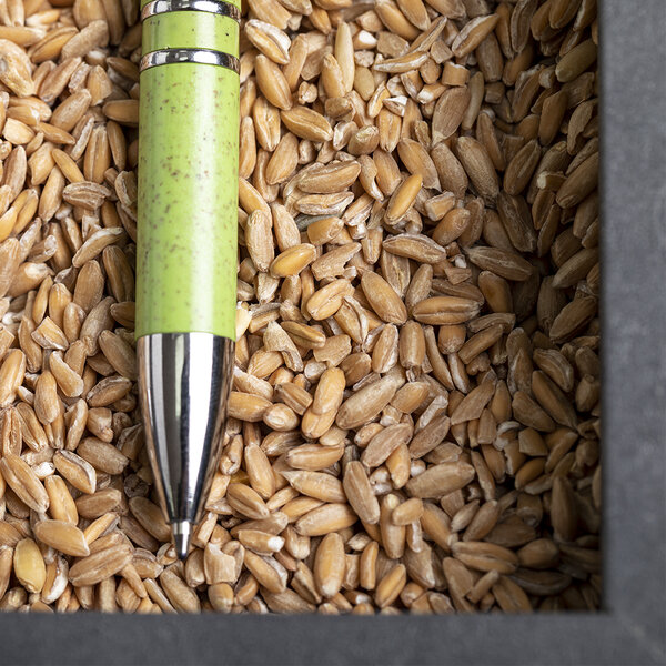 Kugelschreiber Idkot