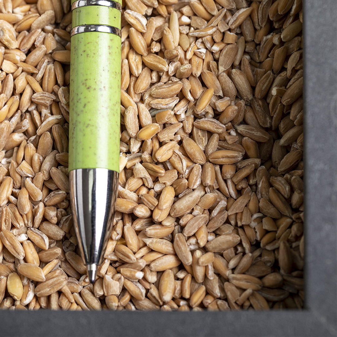 Kugelschreiber Idkot