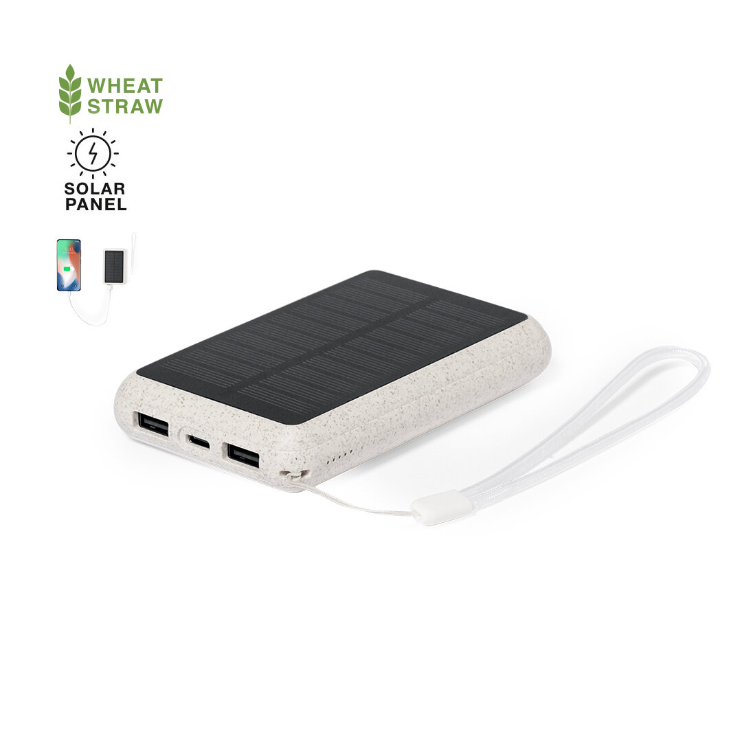 Power Bank Idson