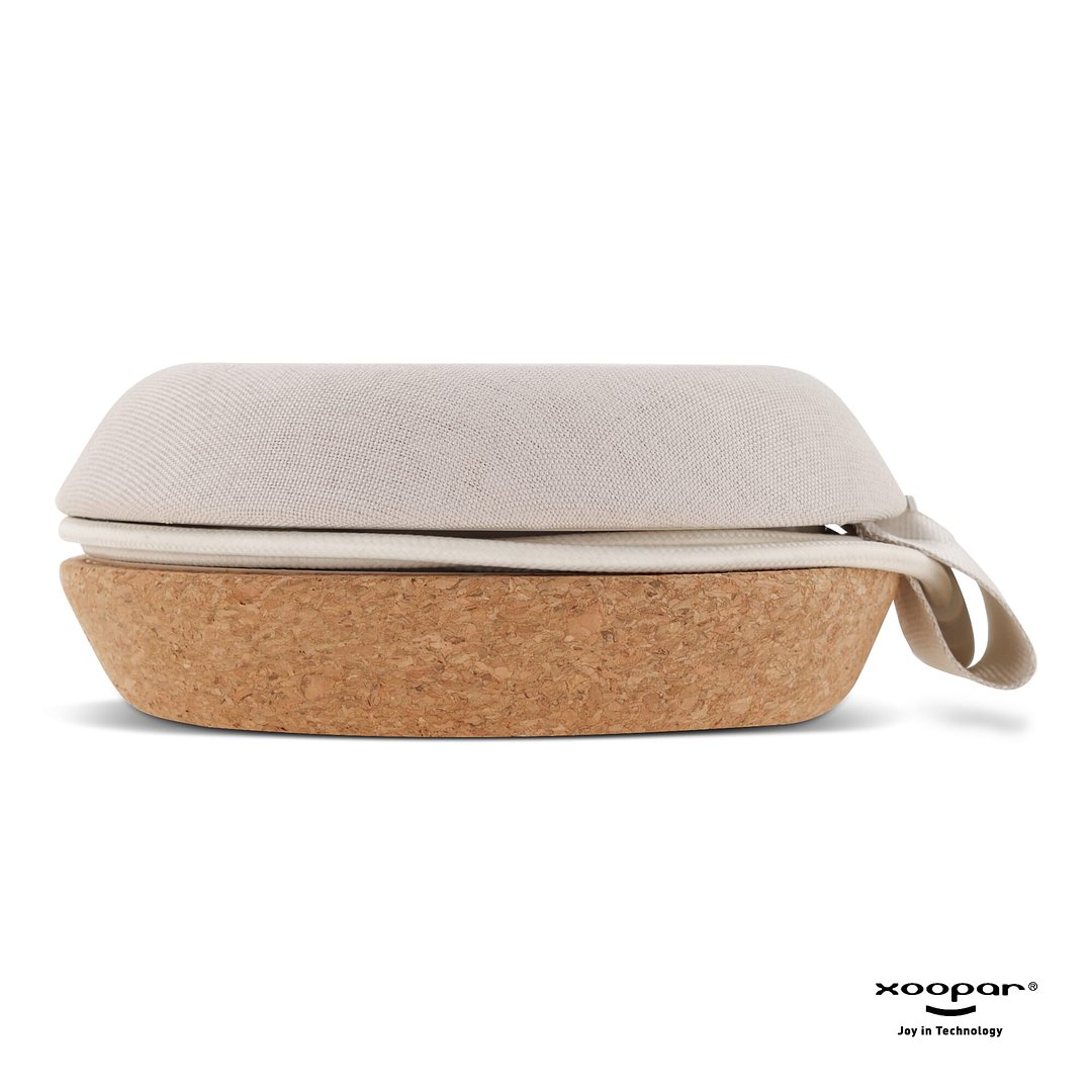 Meetair Conference Speaker Anricch