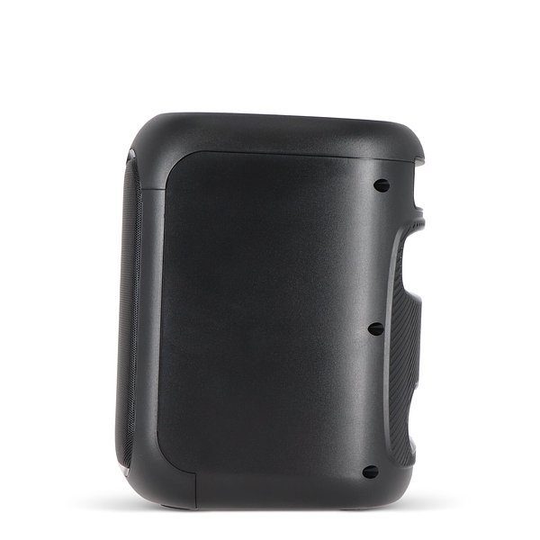 Party-Lautsprecher mit Mikrofon 150W Chatinana